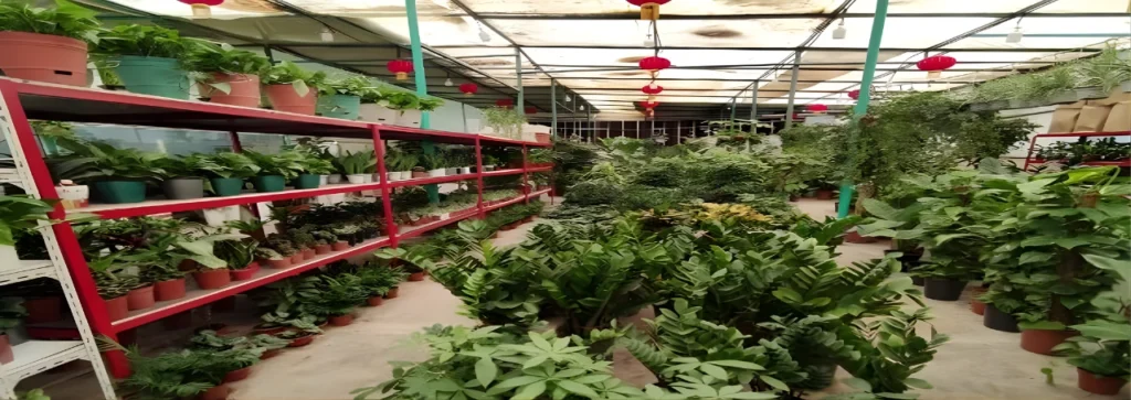 Show Room & Greenhouse